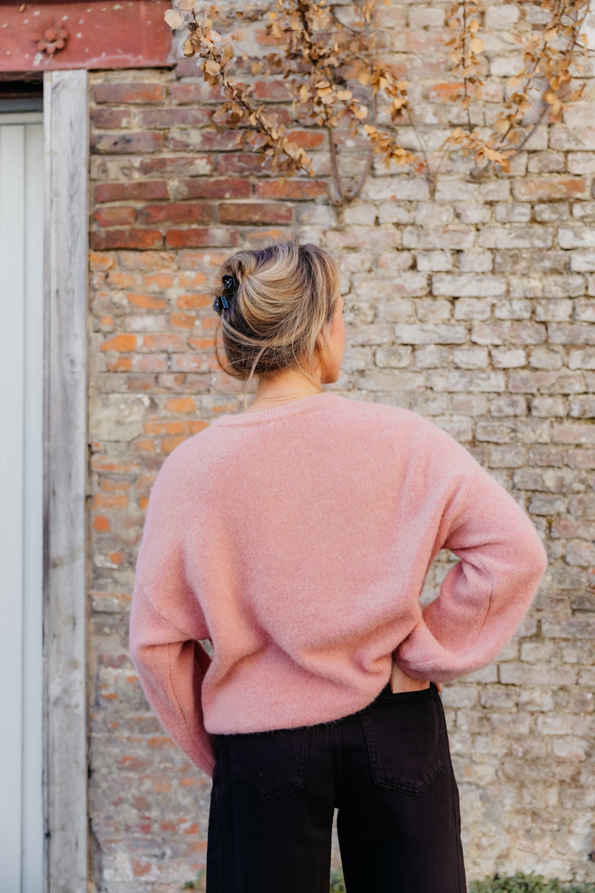 WS pull  - Blush