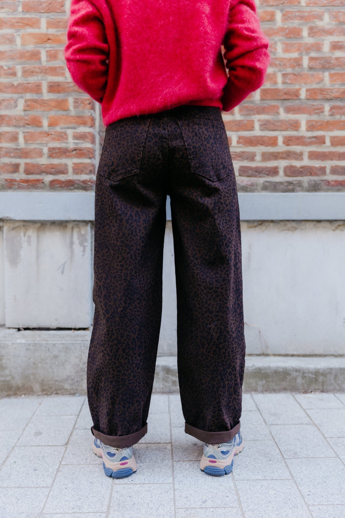 RD Balloon - Leo small brun